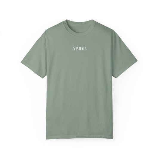 ABIDE. TEE